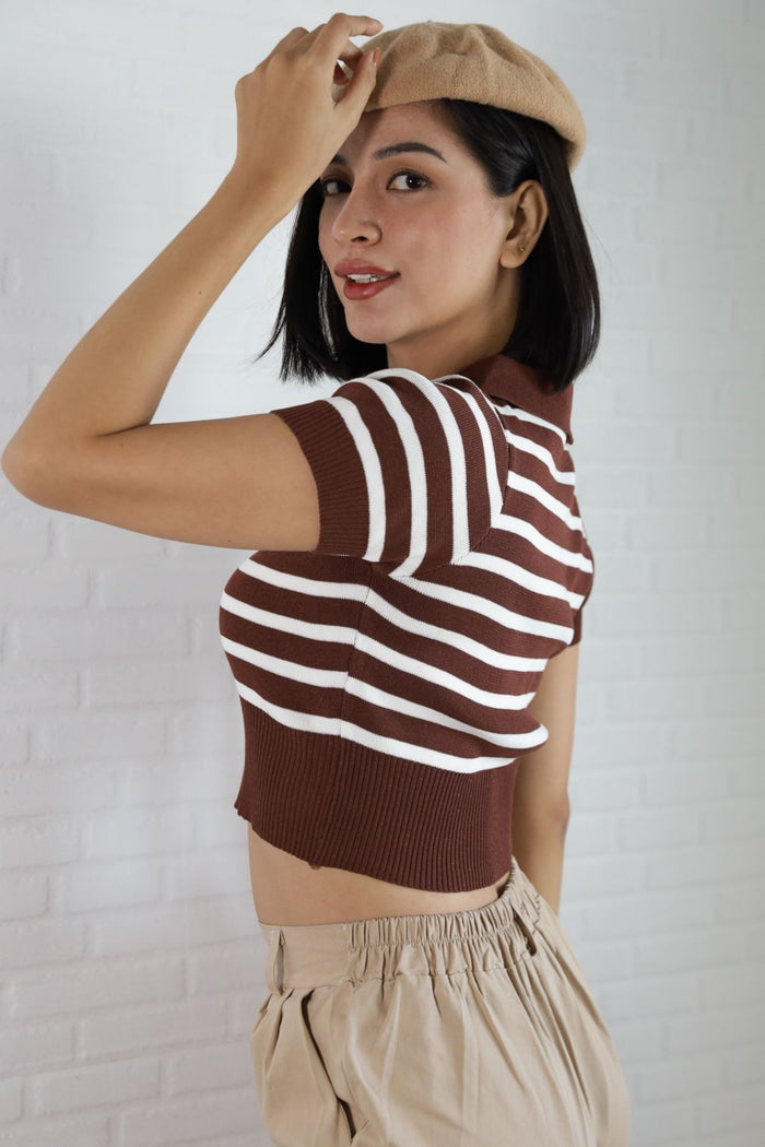 RUE Striped Knit Polo Shirt (Brown)