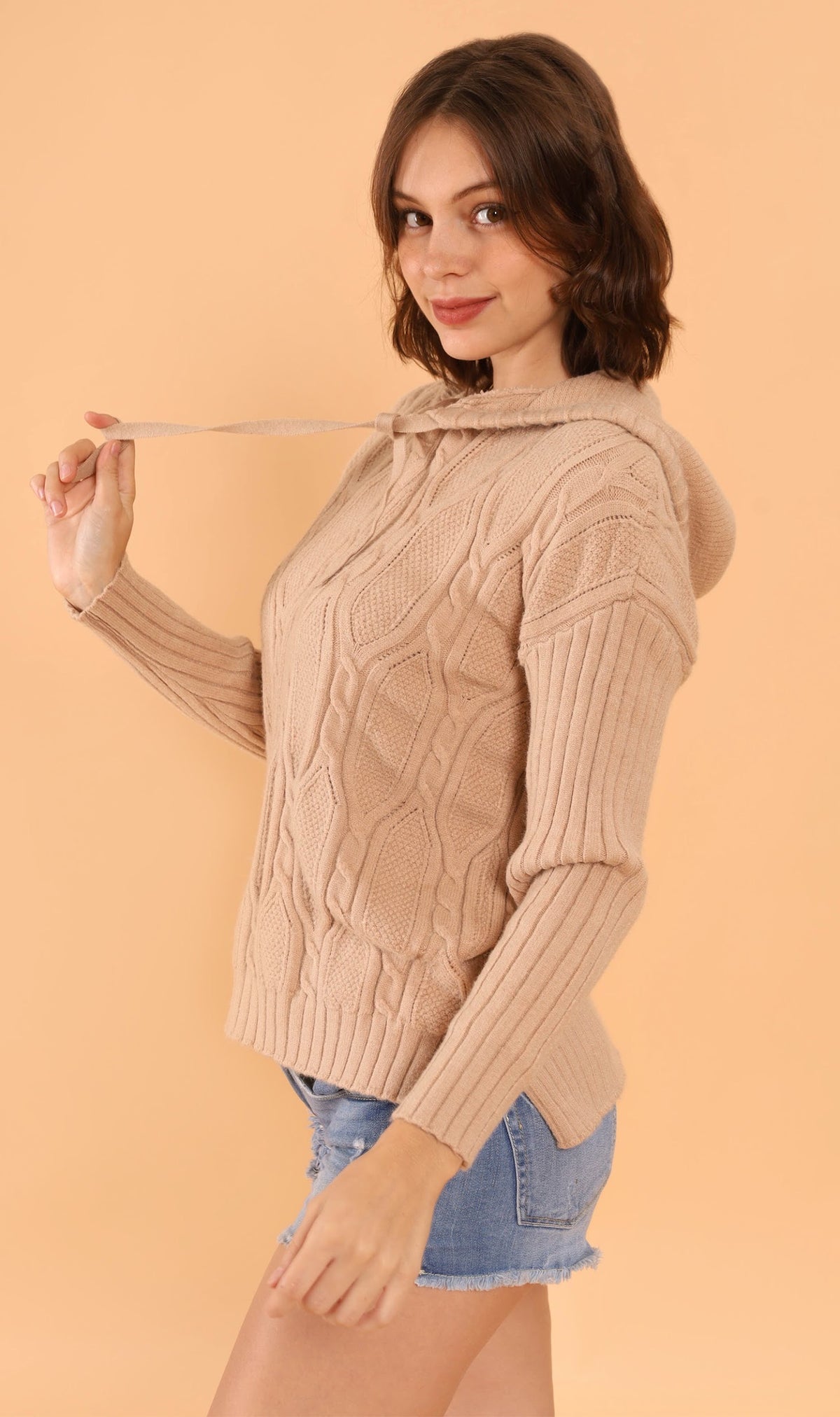 ALYSSA Textured Knit Hoodie (Mocha)