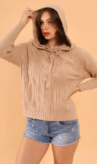 ALYSSA Textured Knit Hoodie (Mocha)