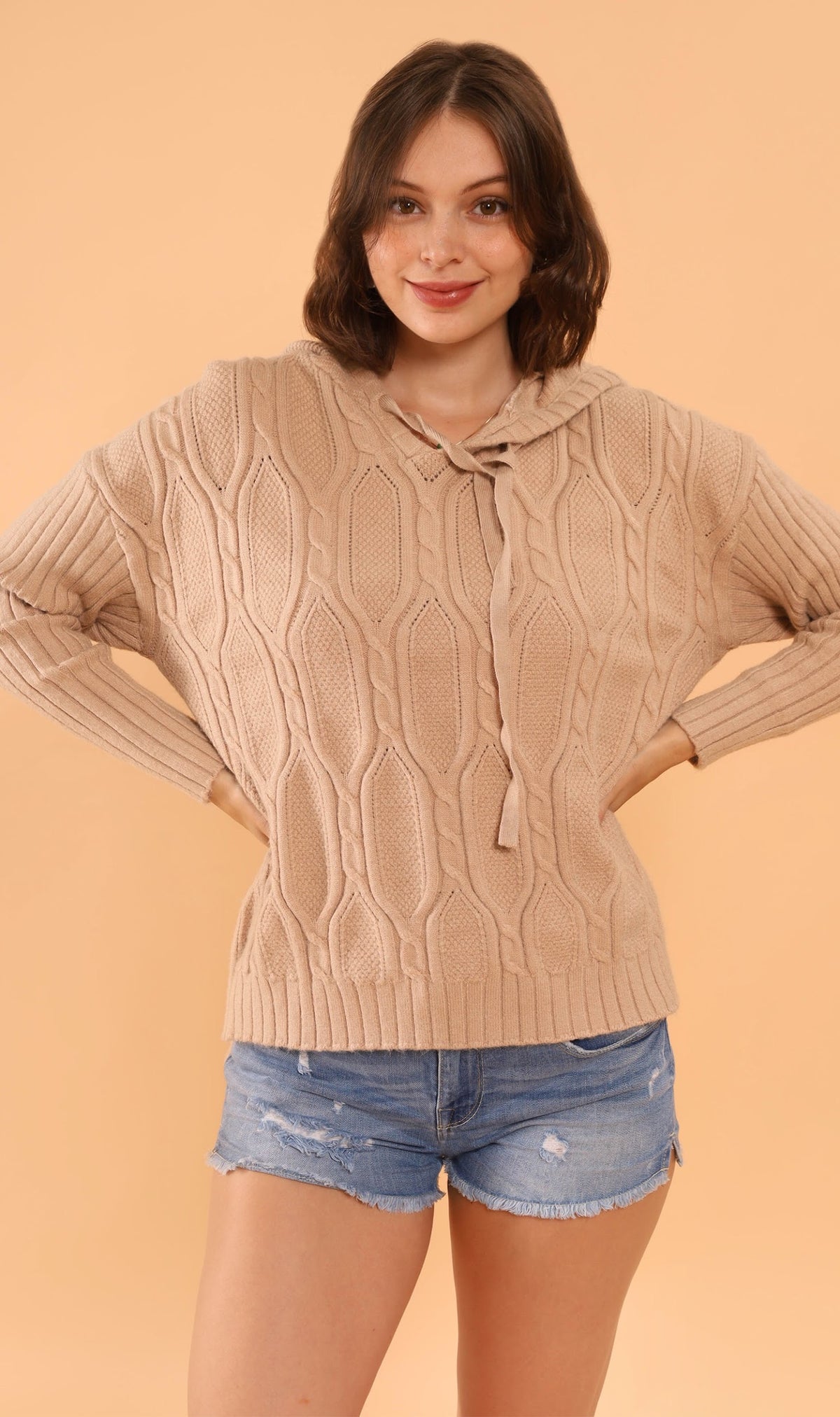 ALYSSA Textured Knit Hoodie (Mocha)