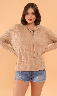 ALYSSA Textured Knit Hoodie (Mocha)